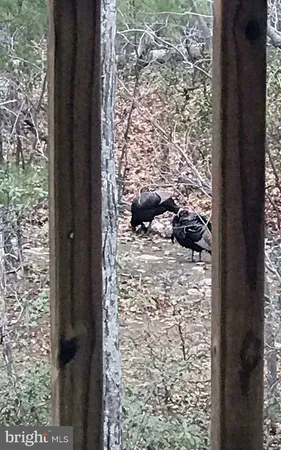 $624,990 | 4562 Quail Run Drive, Marshall, VA 20115