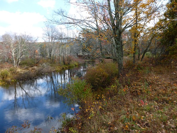 111 Five Bridge Road Brimfield, MA 01010 - Photo 9 of 18 Gallery Image 9