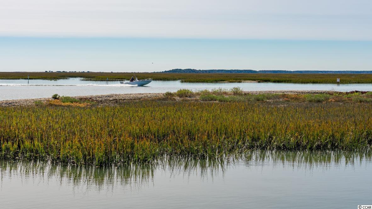 740 Old Murrells Inlet Road Murrells Inlet, SC 29576 - Photo 39 of 39 Gallery Image 39