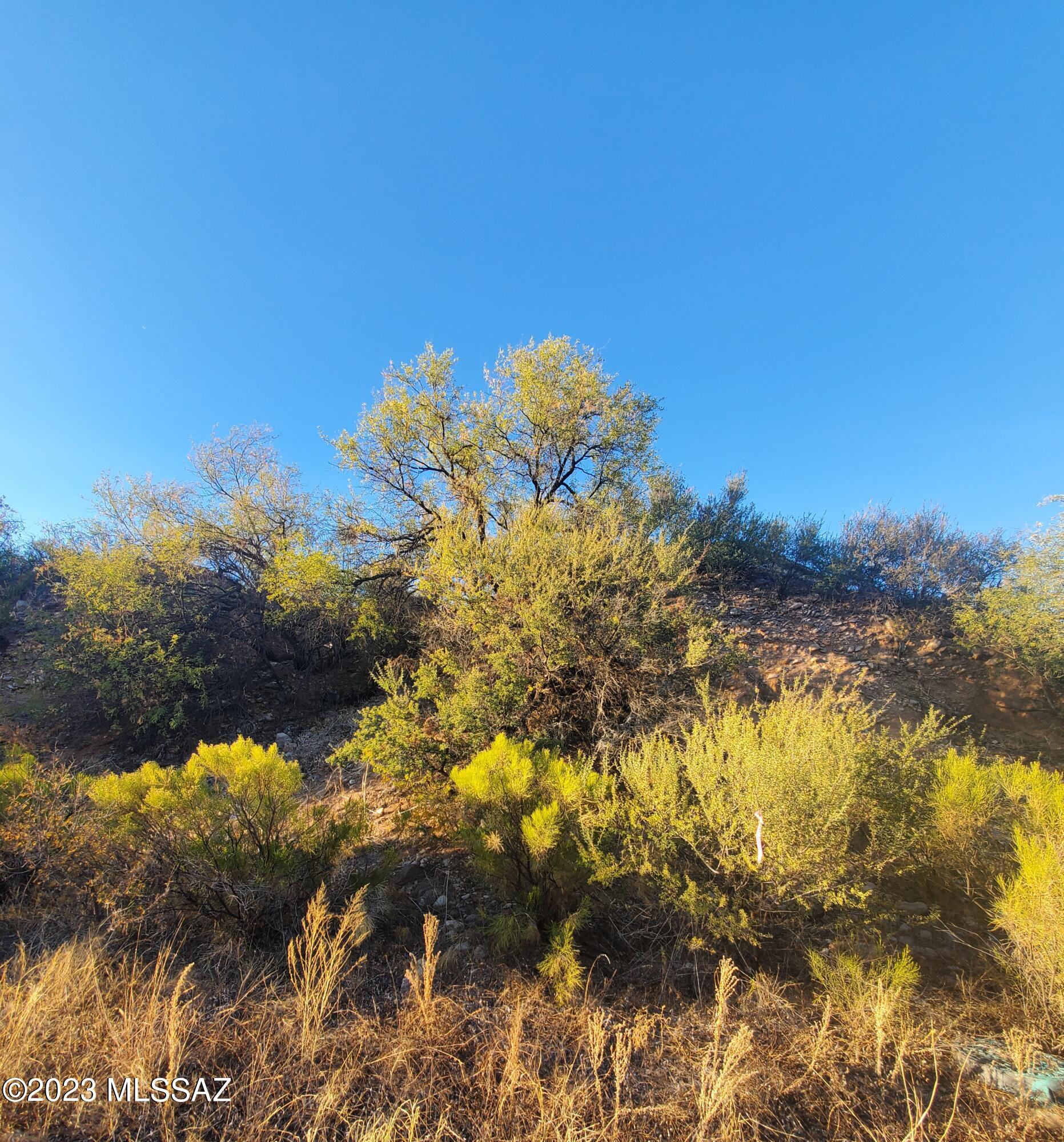 1415 Calle Cuervo, Unit 1 Rio Rico, AZ 85648 - Photo 11 of 12 Gallery Image 11