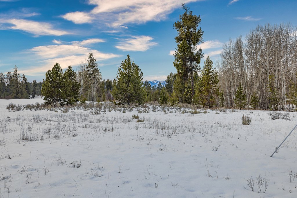 241 West Jug Road, Unit 30 McCall, ID 83638 - Photo 10 of 18