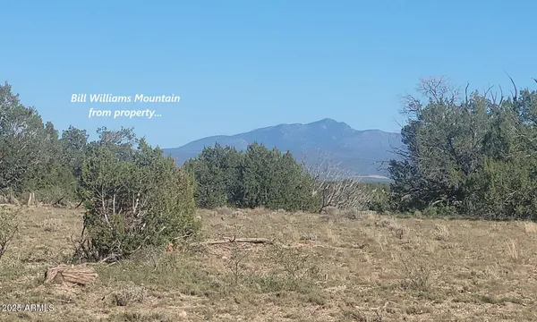 a view of a dry yard