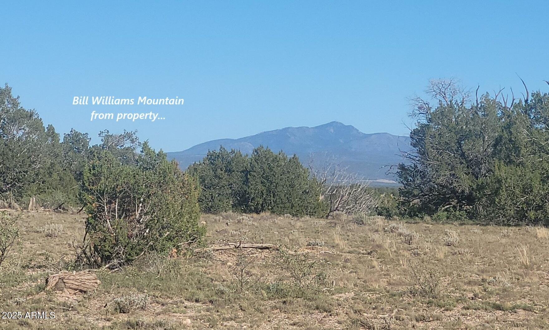 10 Acres N Tanner Road Northeast, Unit 17F Ash Fork, AZ 86320 - Photo 1 of 13 a view of a dry yard