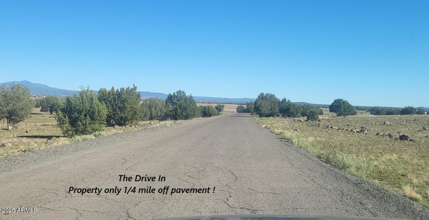 10 Acres N Tanner Road Northeast, Unit 17F Ash Fork, AZ 86320 - Photo 2 of 13 a view of a dry yard with trees in the background