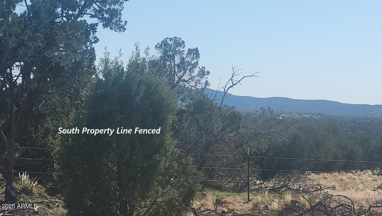 10 Acres N Tanner Road Northeast, Unit 17F Ash Fork, AZ 86320 - Photo 4 of 13 a view of a wooden bridge