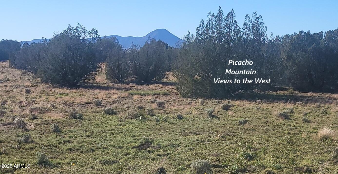 10 Acres N Tanner Road Northeast, Unit 17F Ash Fork, AZ 86320 - Photo 5 of 13 a view of a tree with a yard