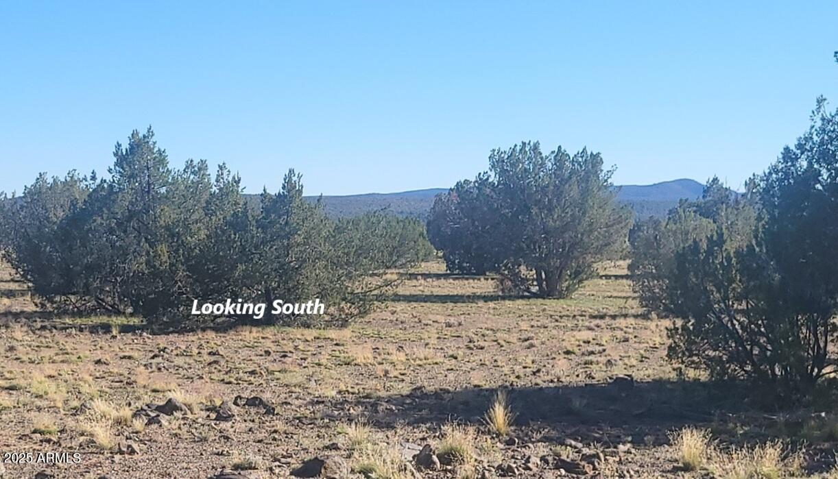 10 Acres N Tanner Road Northeast, Unit 17F Ash Fork, AZ 86320 - Photo 7 of 13 a view of a dry yard with trees