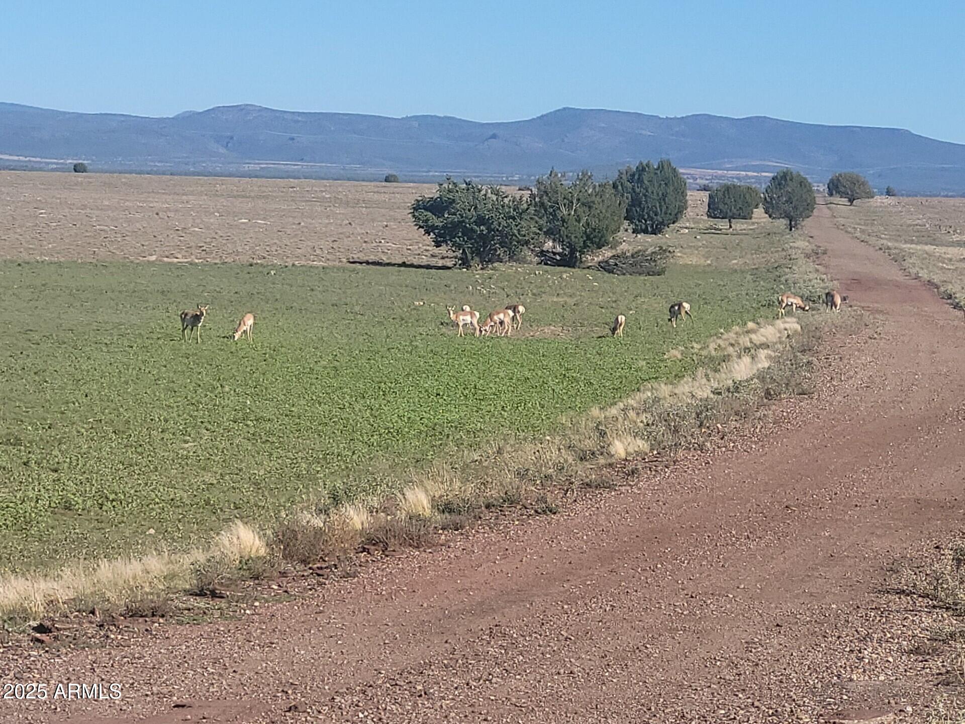 10 Acres N Tanner Road Northeast, Unit 17F Ash Fork, AZ 86320 - Photo 9 of 13 a view of a field with an ocean