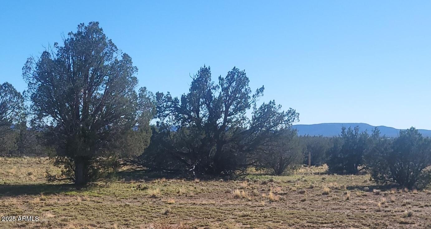 10 Acres N Tanner Road Northeast, Unit 17F Ash Fork, AZ 86320 - Photo 10 of 13 a view of a yard covered with snow in the yard
