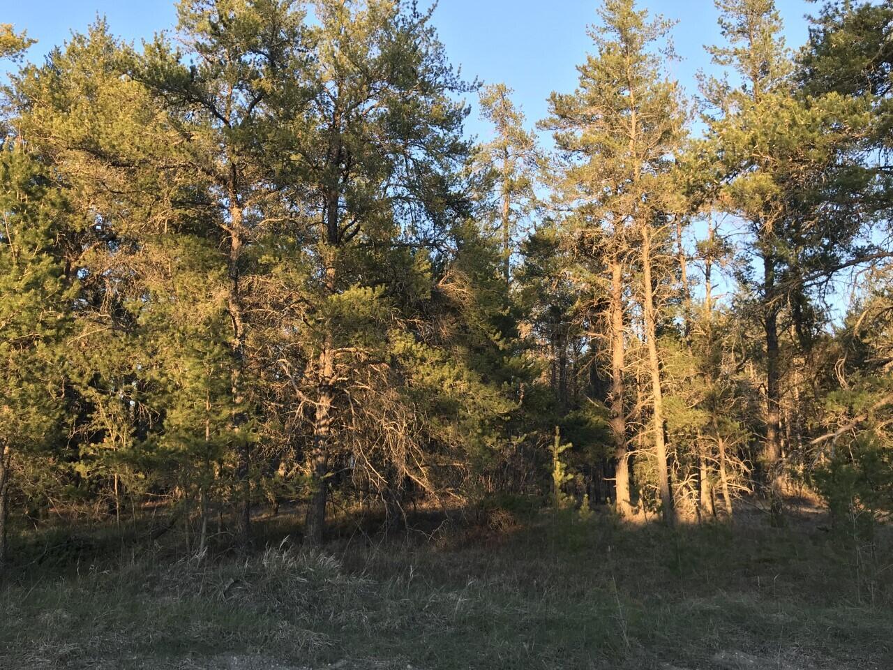 South Staley Lake Road Grayling, MI 49738 - Photo 5 of 7 Gallery Image 5