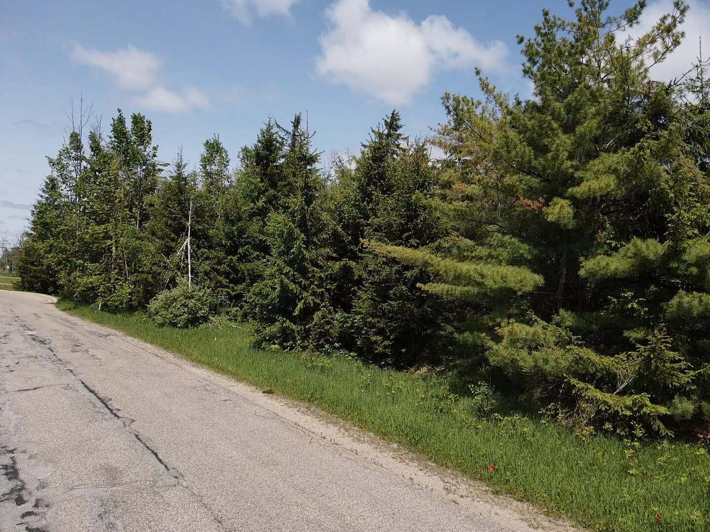 Lot 1 East West Resort Road Alanson, MI 49706 - Photo 1 of 3 Lot 1
