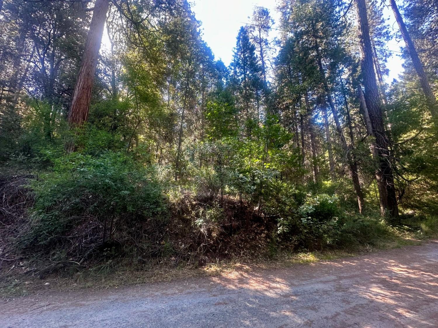 0 Dean Road Mount Aukum, CA 95656 - Photo 5 of 5