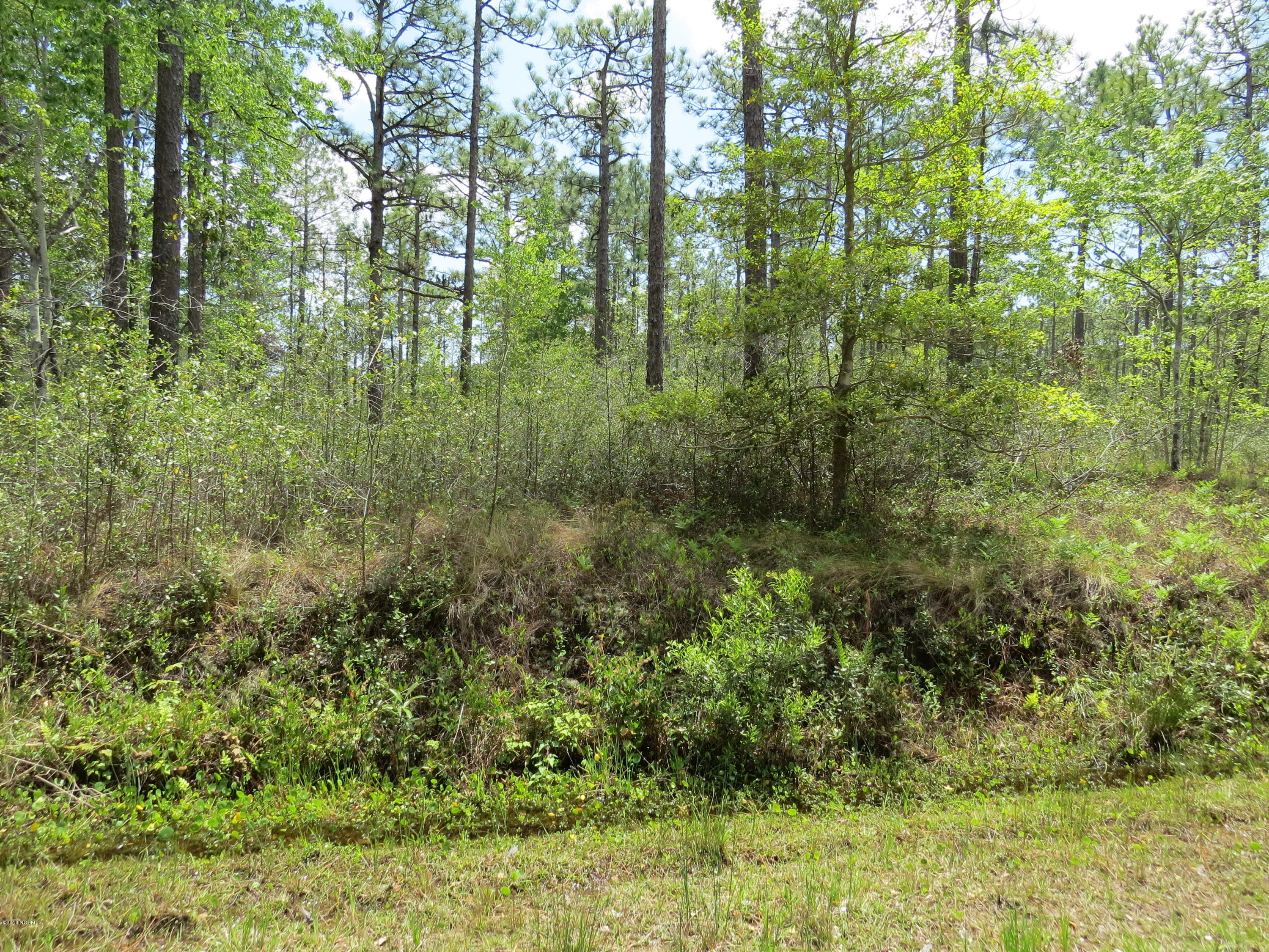 Lot 451 Queens Road Southport, NC 28461 - Photo 1 of 1 Lot on Queens Road