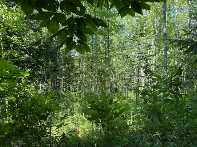 $59,000 | Lot 18 Kimball Road, Bridgton, ME 04009