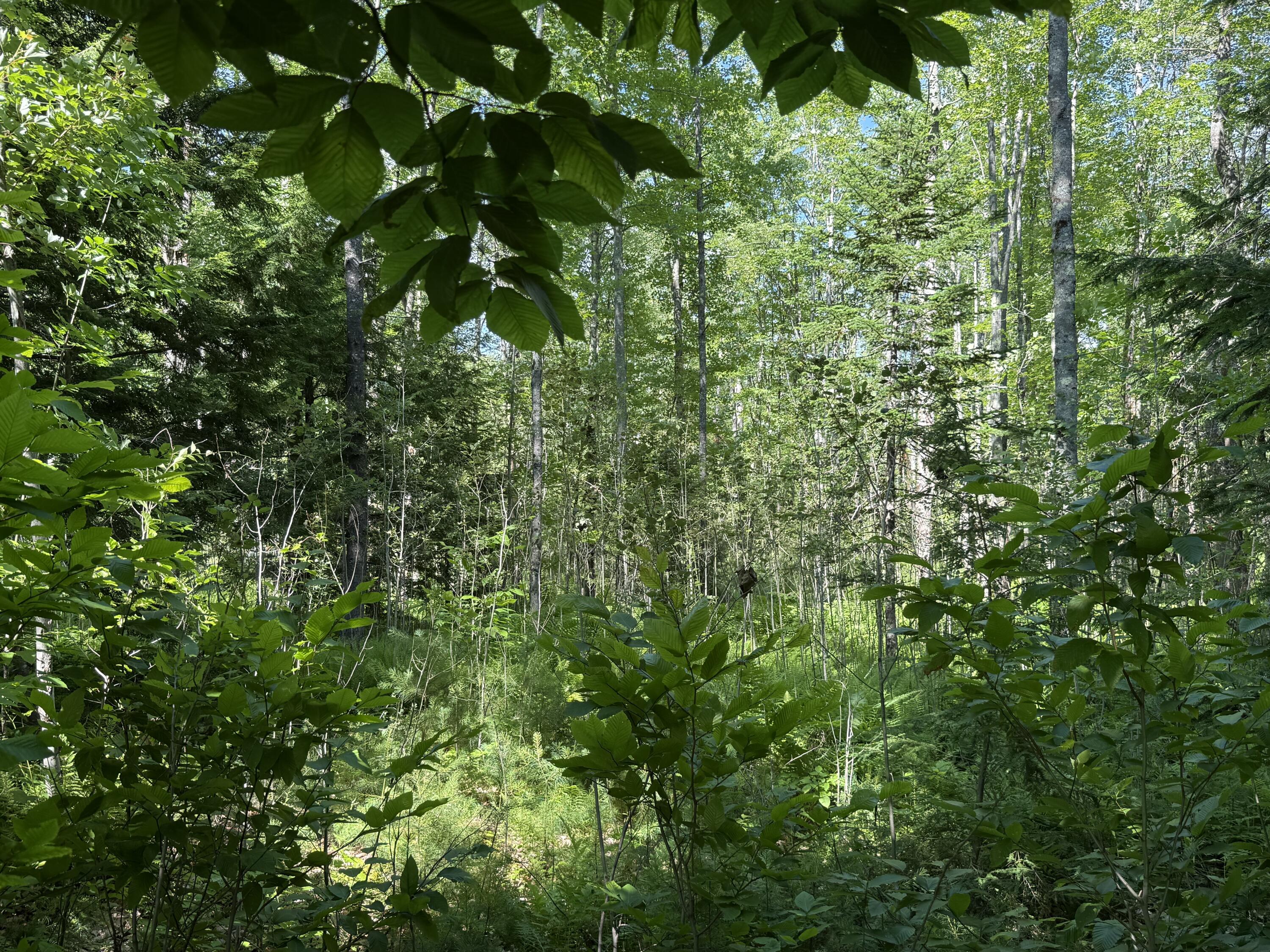 Lot 18 Kimball Road Bridgton, ME 04009 - Photo 4 of 5 Photo 1