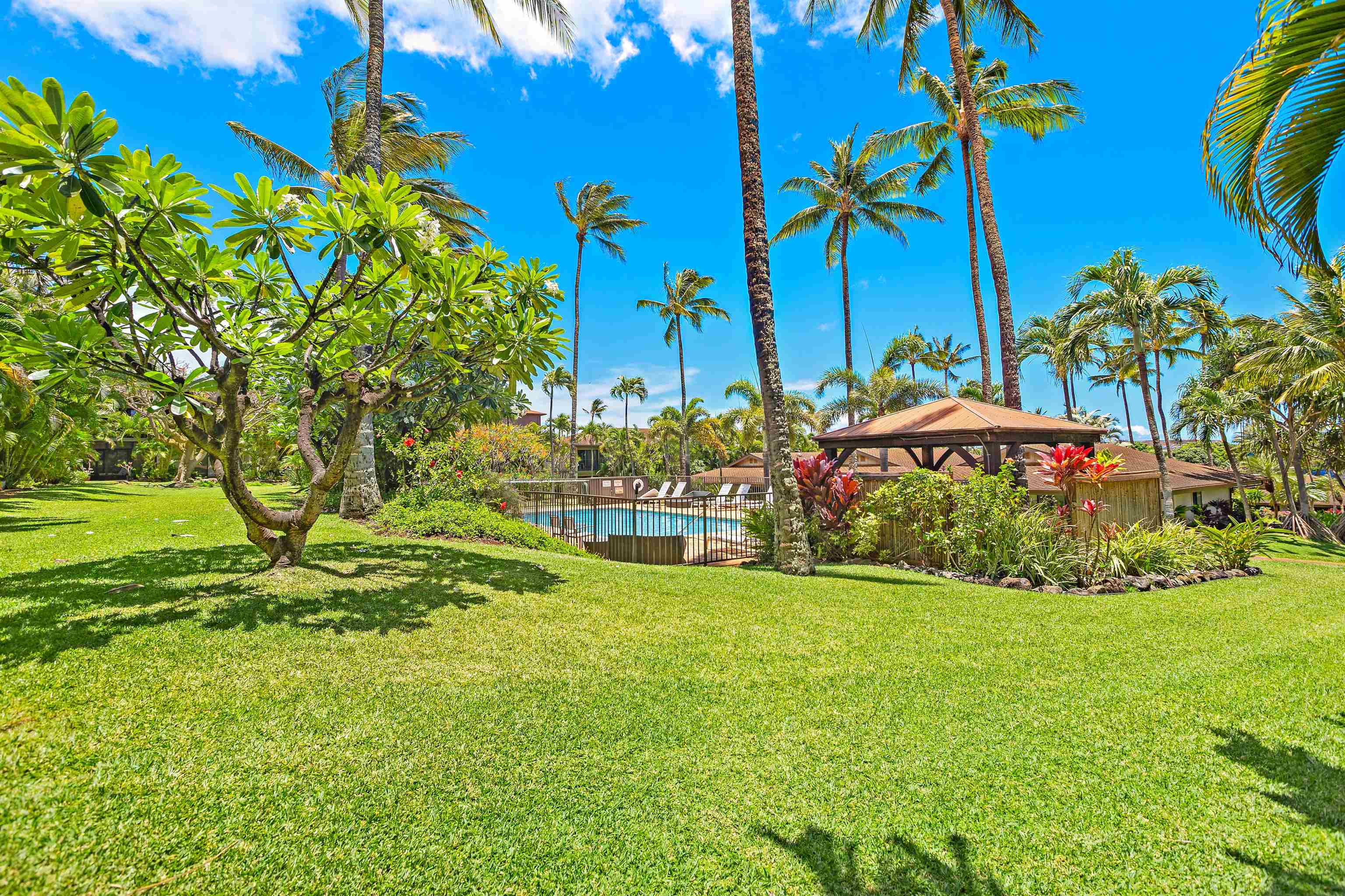 3788 Lower Honoapiilani Road, Unit D101 Lahaina, HI 96761 - Photo 5 of 40 a view of a garden with an tree