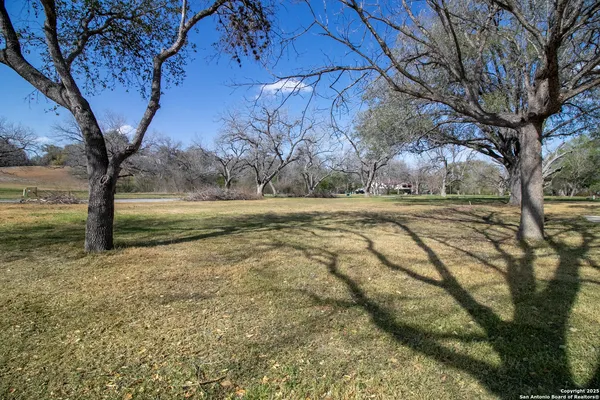 a view of dirt field with trees