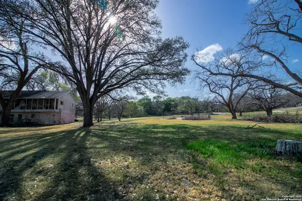 a view of a yard with large trees