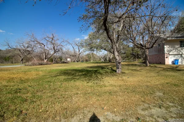 a view of yard with trees