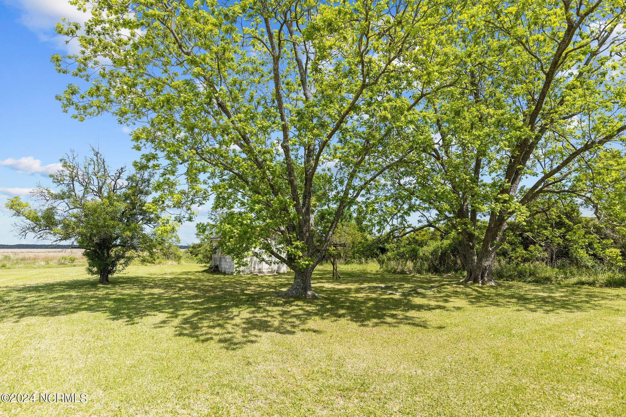 1154 Merrimon Road Beaufort, NC 28516 - Photo 8 of 46 Mature Pecan and Fruit Trees in Backyard