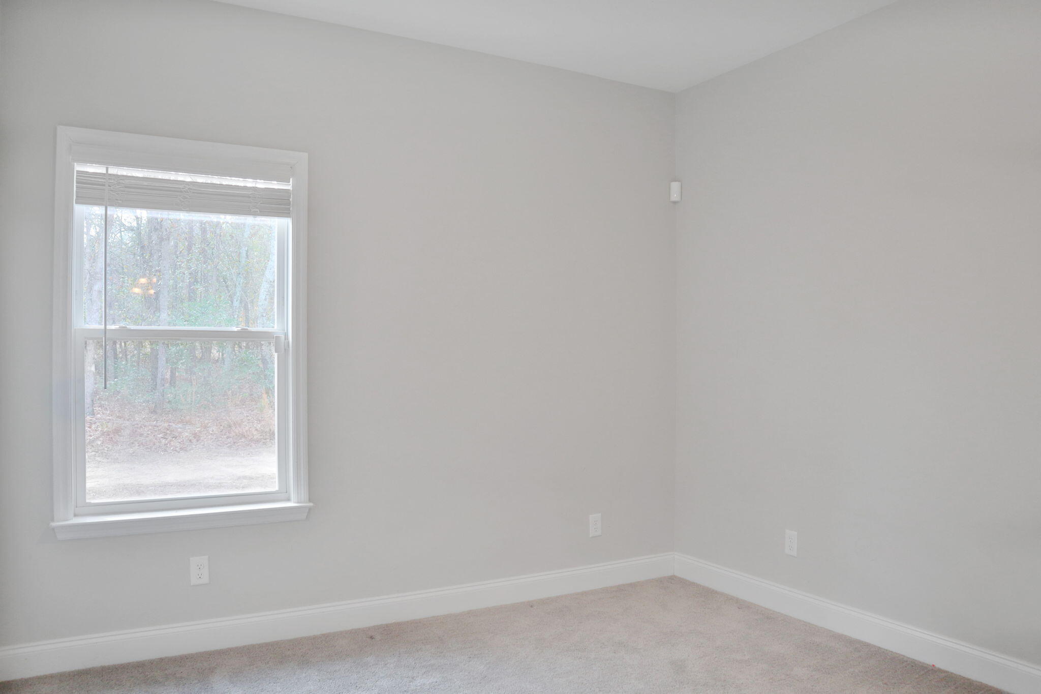 511 Old Sudlow Lake Road North Augusta, SC 29841 - Photo 29 of 40 31-web-or-mls-Image 31