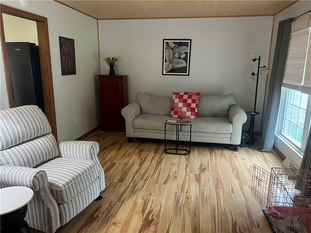 516 Parrott Road Veteran, NY 14824 - Photo 21 of 36 living room