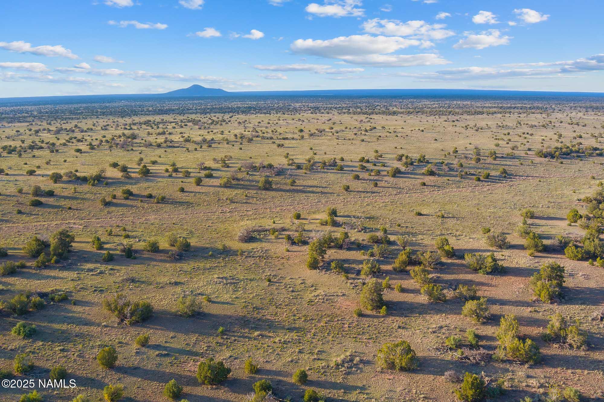 4436 East Indian Meadows Road Williams, AZ 86046 - Photo 12 of 37 MAX_0620