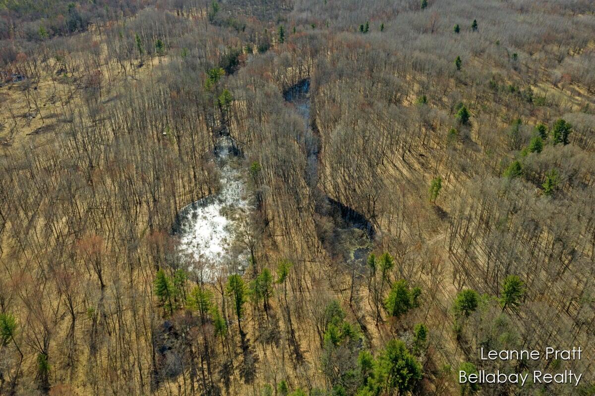 Vl West Weidman Road Weidman, MI 48893 - Photo 1 of 7 P7