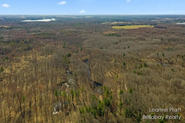 $35,000 | Vl West Weidman Road, Weidman, MI 48893