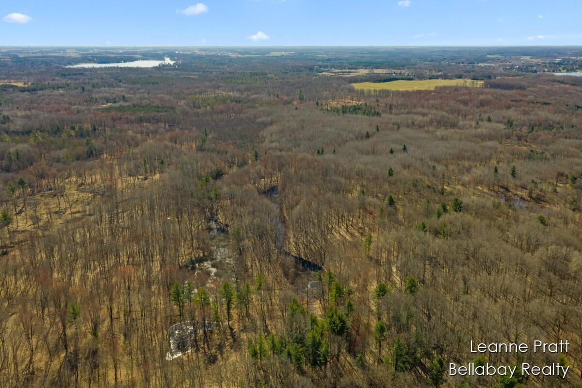 Vl West Weidman Road Weidman, MI 48893 - Photo 2 of 7 P6