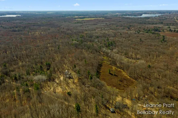 $35,000 | Vl West Weidman Road, Weidman, MI 48893