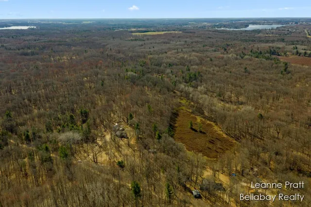 $35,000 | Vl West Weidman Road, Weidman, MI 48893