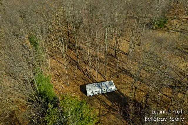 $35,000 | Vl West Weidman Road, Weidman, MI 48893