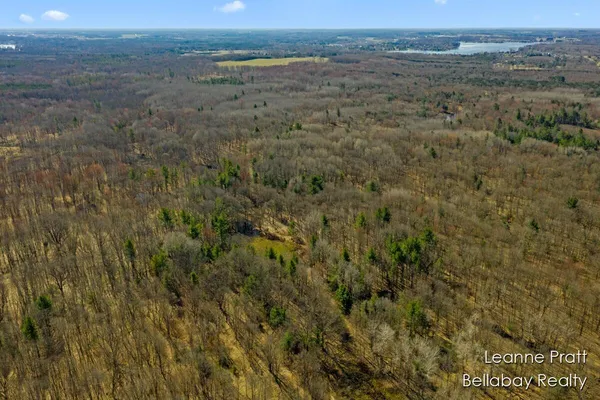 $35,000 | Vl West Weidman Road, Weidman, MI 48893