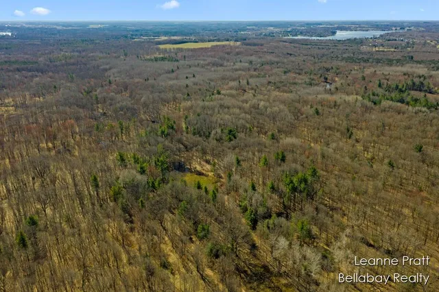 $35,000 | Vl West Weidman Road, Weidman, MI 48893