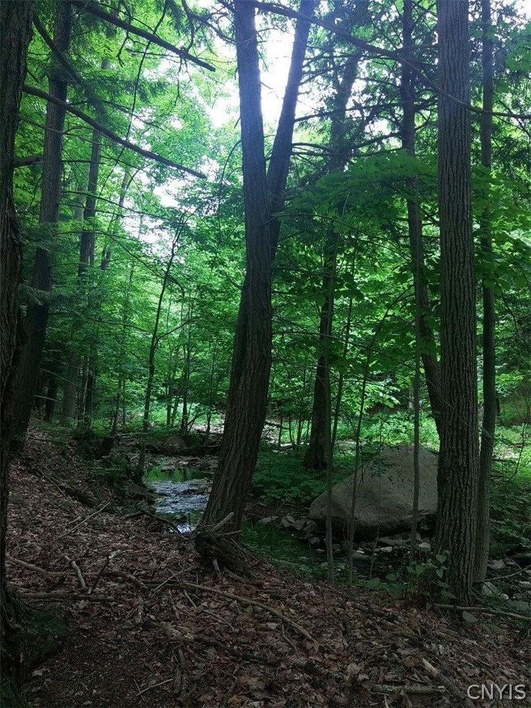 0 North Lake Road Carthage, NY 13619 - Photo 5 of 9