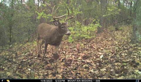 0 Knutson Road Bangor, WI 54614 - Photo 1 of 1 Home of the big bucks