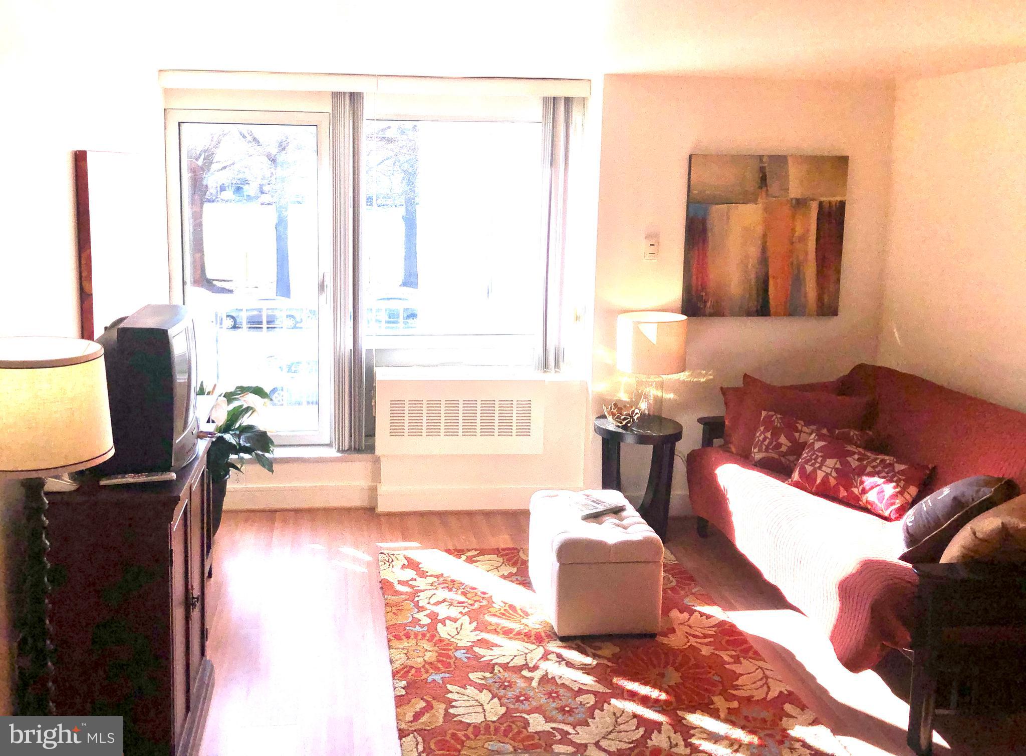 800 4th Street Southwest, Unit N103 Washington, DC 20024 - Photo 2 of 21