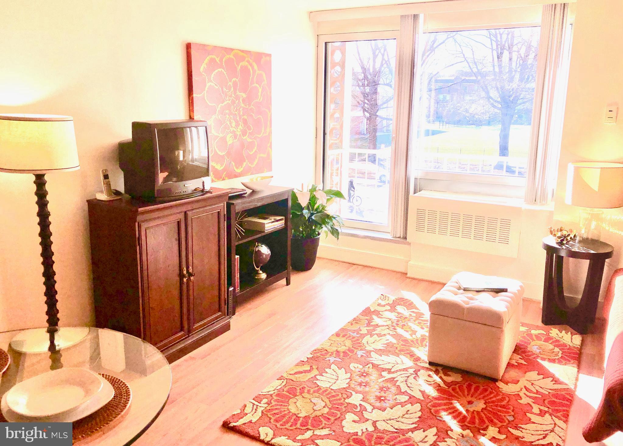 800 4th Street Southwest, Unit N103 Washington, DC 20024 - Photo 3 of 21