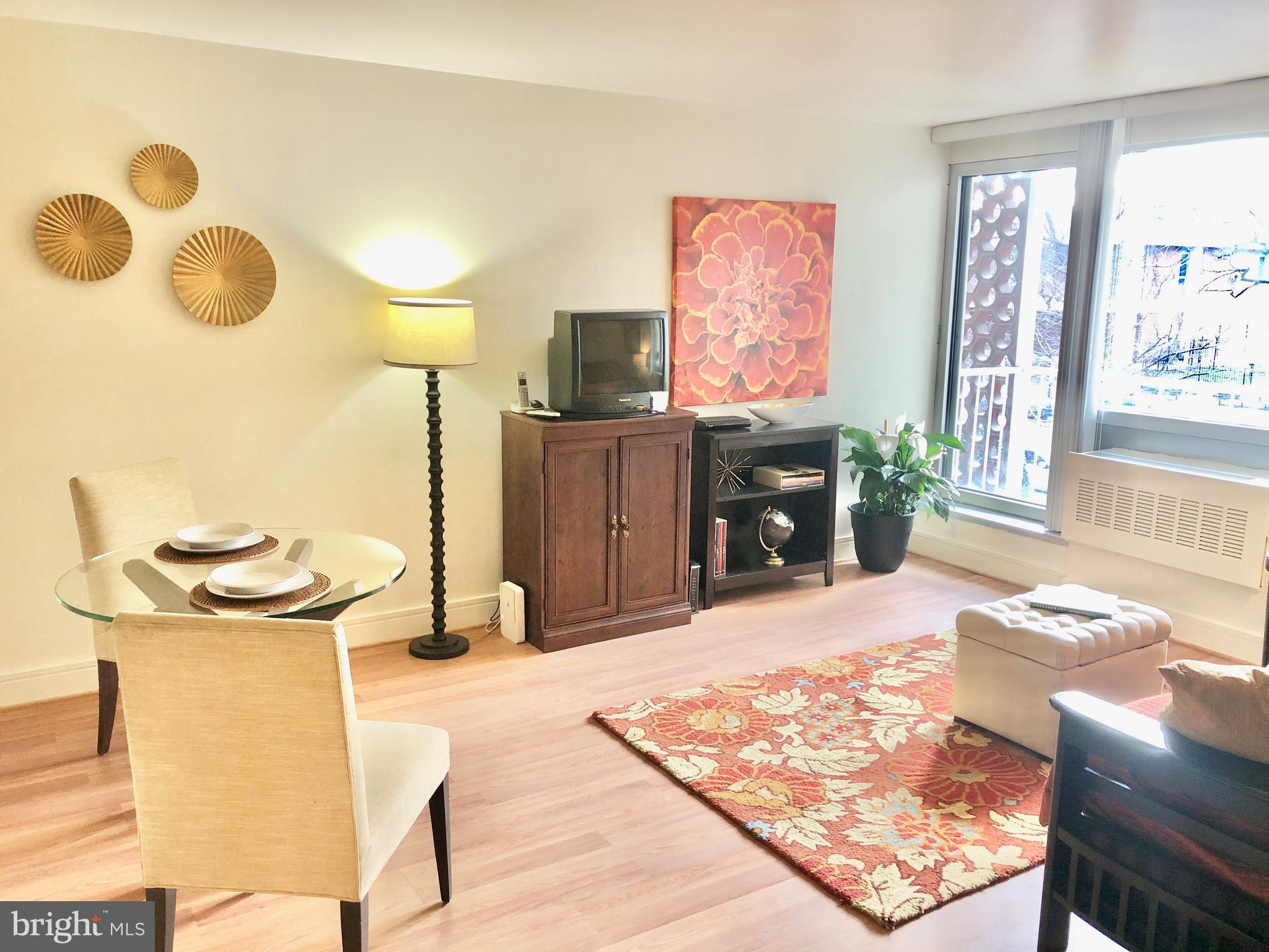 800 4th Street Southwest, Unit N103 Washington, DC 20024 - Photo 4 of 21