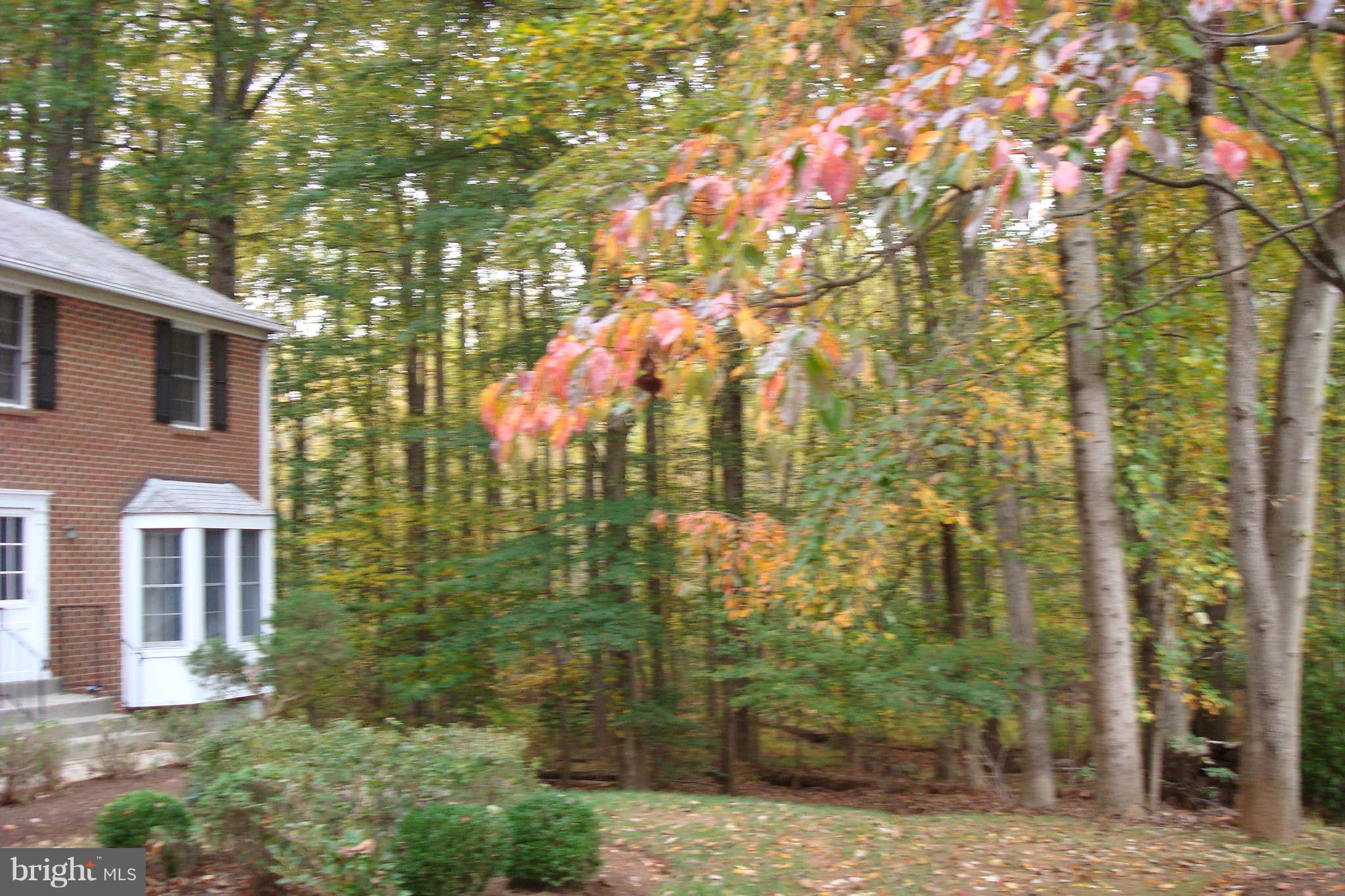 11836 Larry Road Fairfax, VA 22030 - Photo 17 of 24 Exterior (Rear)