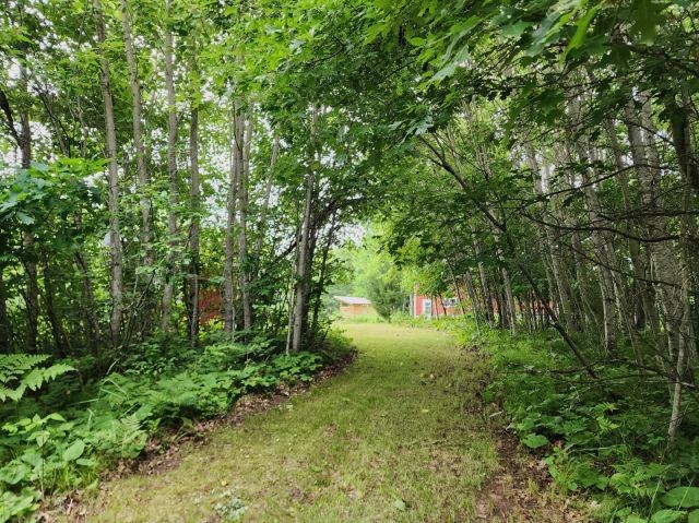 6565 Lynch Bridge Road Siren, WI 54872 - Photo 37 of 60