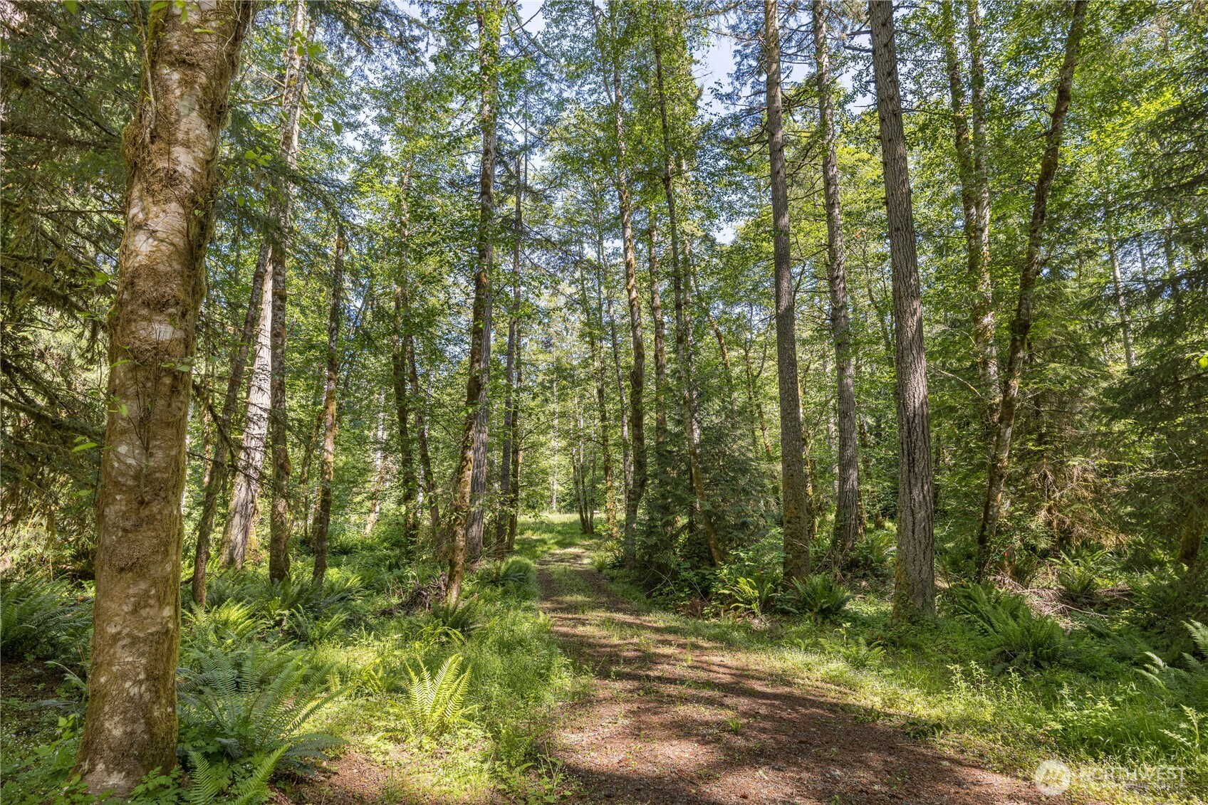 0 Durrwachter Road Port Angeles, WA 98363 - Photo 19 of 33 Gallery Image 19