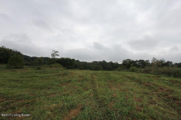 1044 Lanes Mill Road Lawrenceburg, KY 40342 - Photo 4 of 28 Backyard
