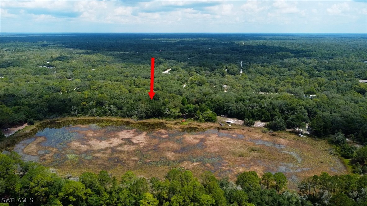 35034 Batesfield Street Webster, FL 33597 - Photo 1 of 12 a view of a field with plants and trees