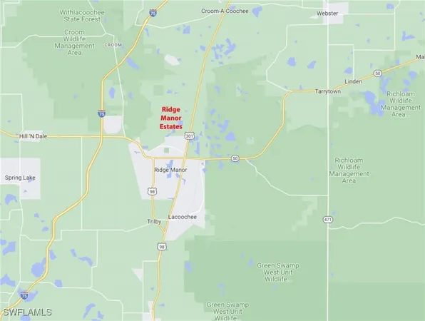 $40,000 | 35034 Batesfield Street, Webster, FL 33597