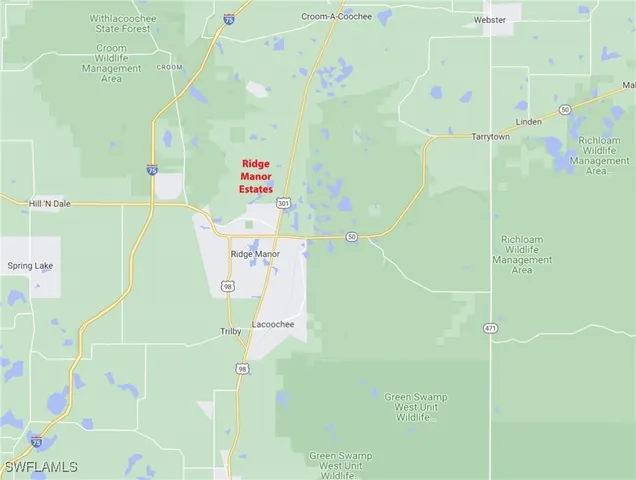 $40,000 | 35034 Batesfield Street, Webster, FL 33597