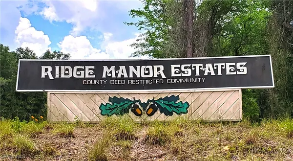 $40,000 | 35034 Batesfield Street, Webster, FL 33597