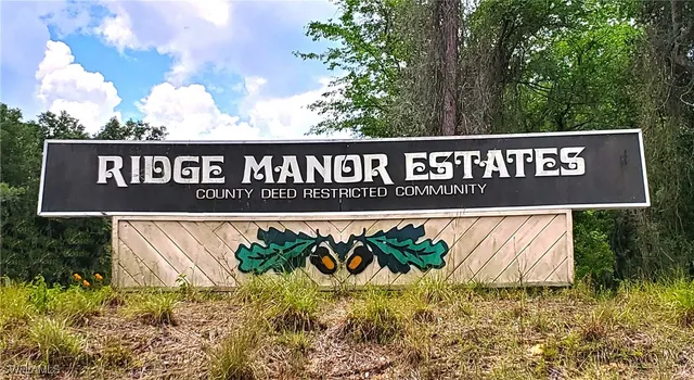 $40,000 | 35034 Batesfield Street, Webster, FL 33597