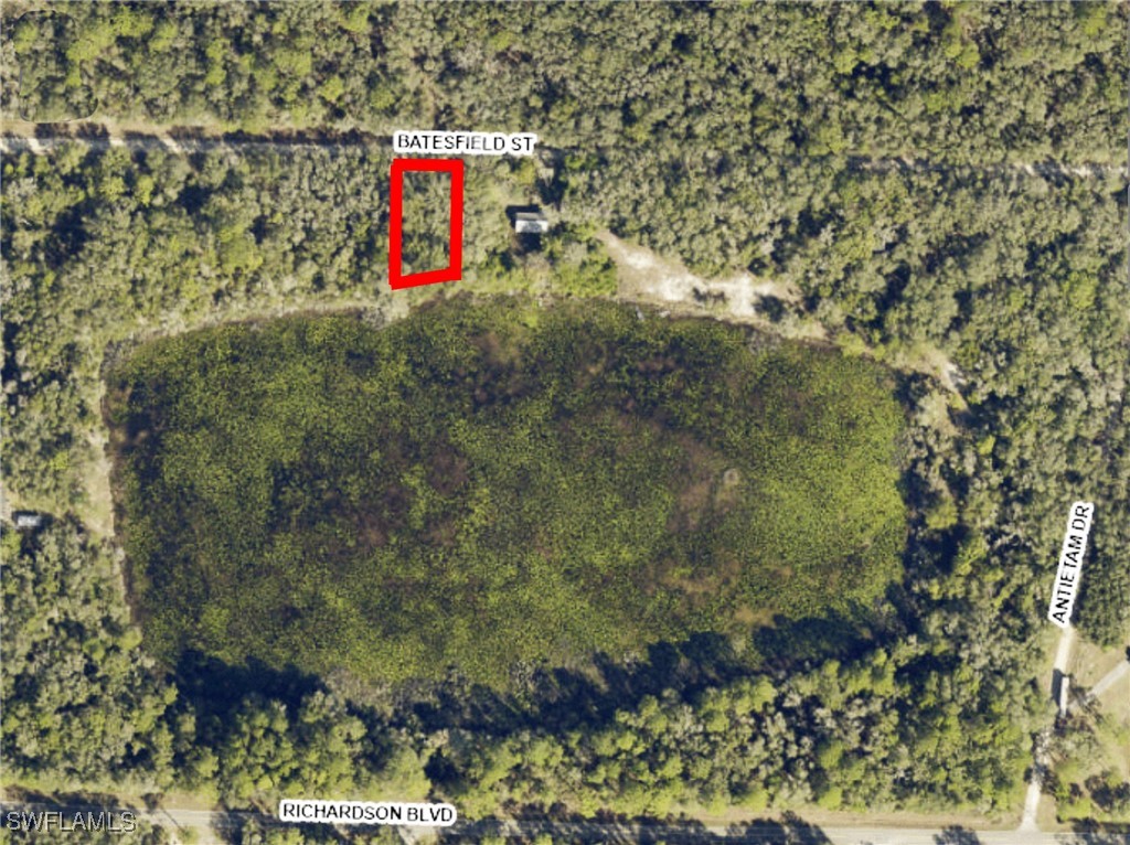 35034 Batesfield Street Webster, FL 33597 - Photo 2 of 12 a view of outdoor space